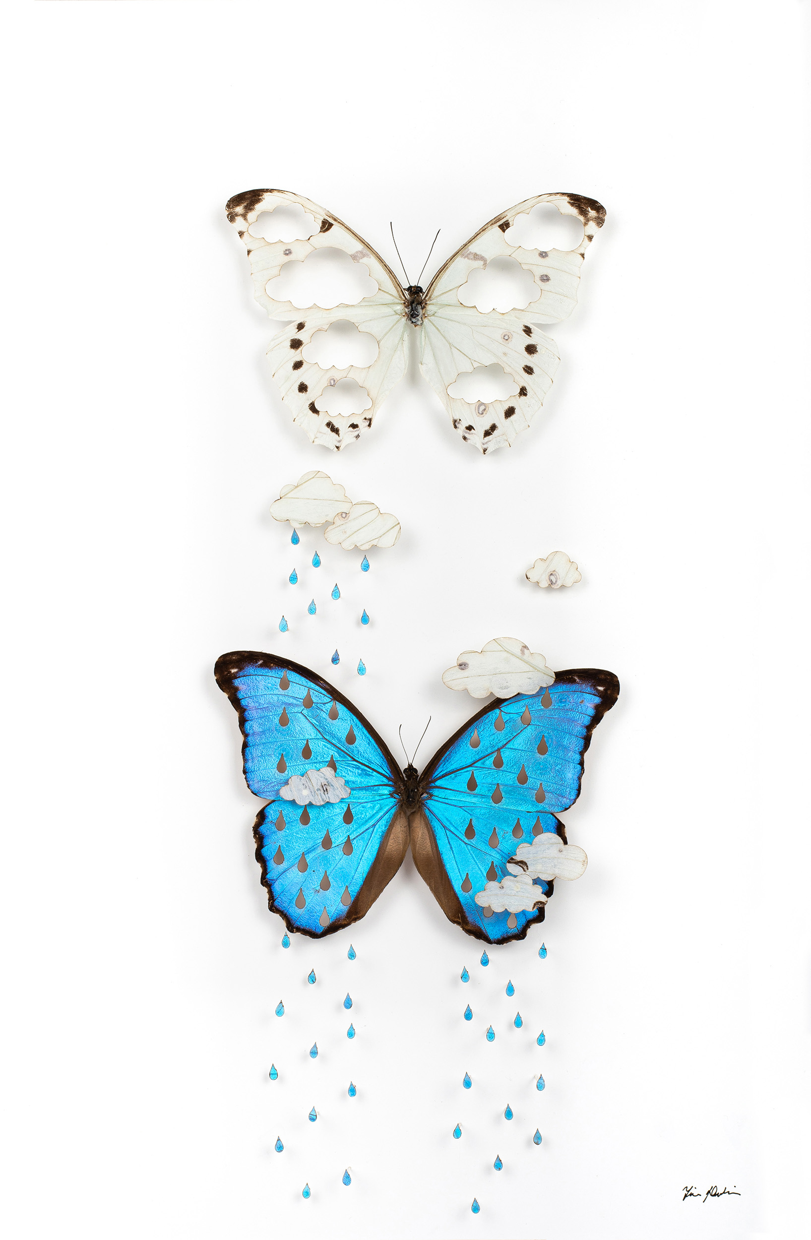 A image of Weathervein, a piece made of a white and blue morpho with raindrops and clouds cut from the wings.