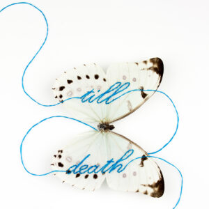 Till death sewn into the wings of a white morpho butterfly, part of Something Blue artwork