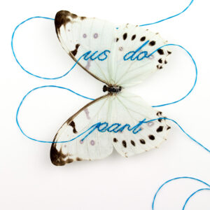 Us do sewn into the wings of a white morpho butterfly, part of Something Blue by Fiona Parkinson