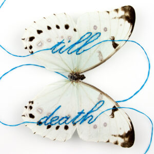 The words till death sewn in blue thread in the wings of a white morpho butterfly