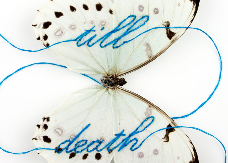 The words till death sewn in blue thread in the wings of a white morpho butterfly