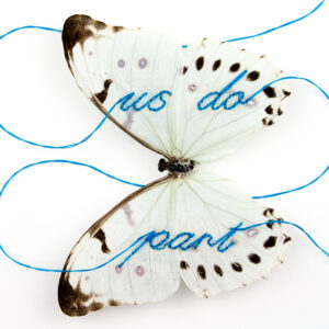The words us do part sewn in blue thread in the wings of a white morpho butterfly