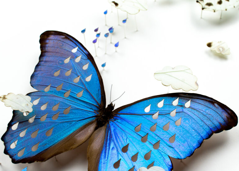 A closeup of Weathervein, a piece made of a white and blue morpho with raindrops and clouds cut from the wings.