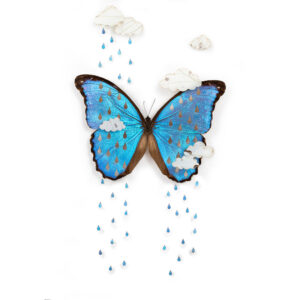 A closeup of Weathervein, a piece made of a white and blue morpho with raindrops and clouds cut from the wings.