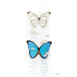A full image of Weathervein, a piece made of a white and blue morpho with raindrops and clouds cut from the wings.
