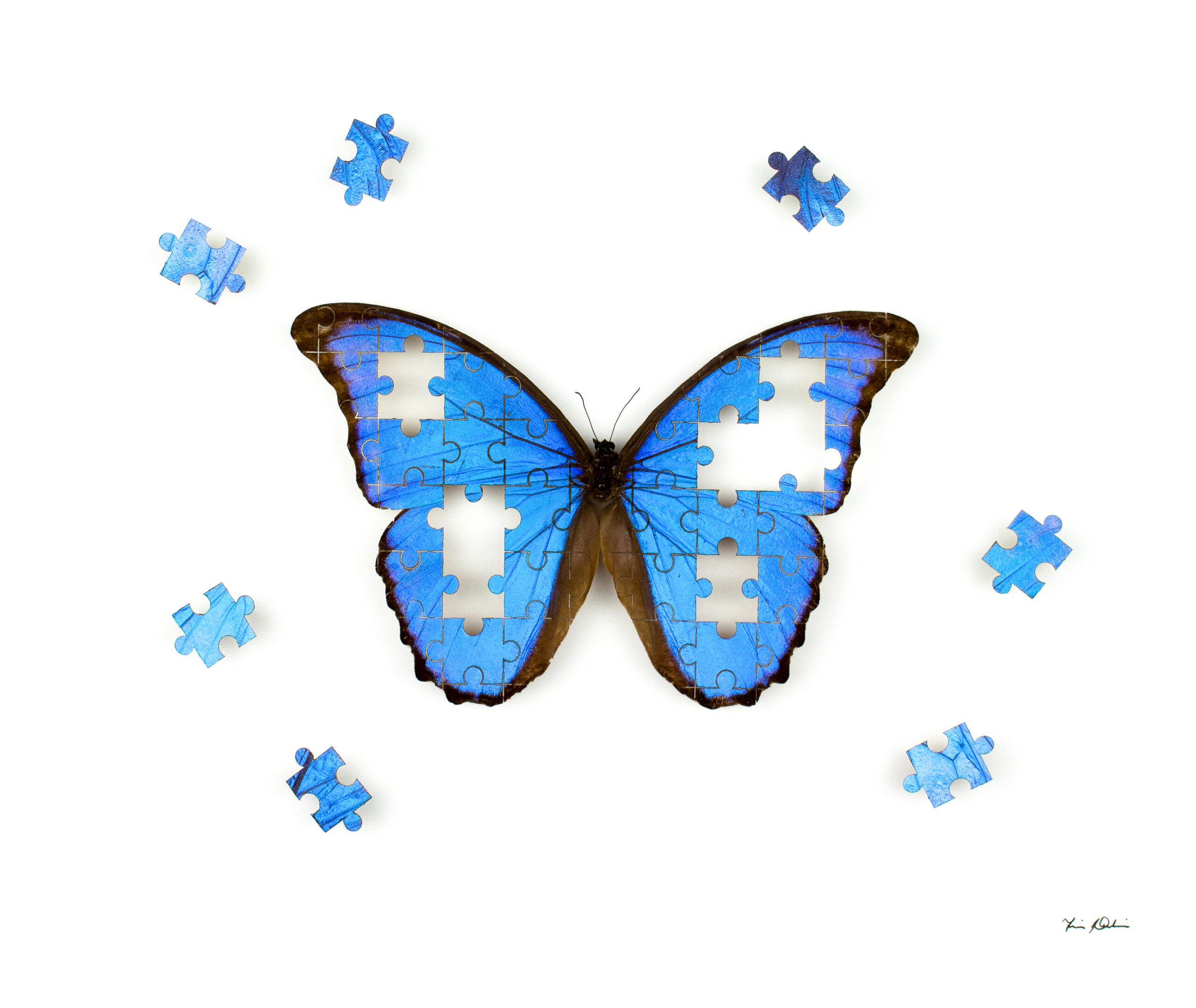 The Puzzle FionaParkinson